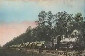 Vintage locomotive pulling train cars loaded with stacked logs along a railway track through a forested area.